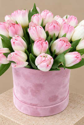 Pink Passion
