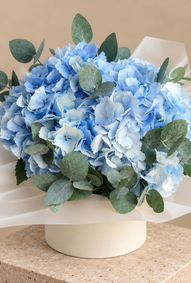 Beautiful Blossoms